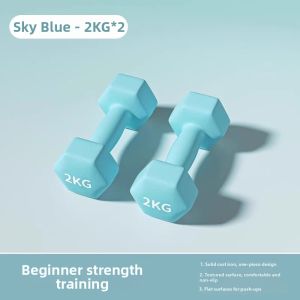 Solid Cast Iron Home Gym Dumbbell Rack