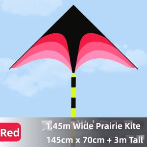 Jiaxun | Child and Adult Friendly Easy to Fly Kite