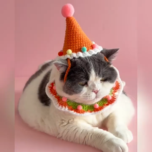 Pet Birthday Hat & Collar Set Crochet Cute Party Outfit for Cats Dogs Photo Props 5 Colors