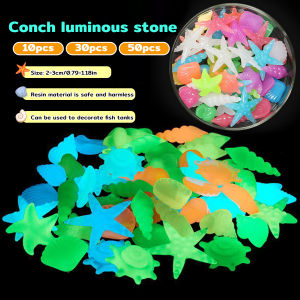 E.B. Colorful Luminous Stones Starfish Conch Shaped For Aquarium Walkways Garden Decorative 2-3cm