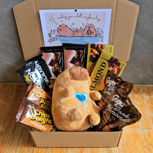 ✨Capybara Doll Brown Dark Chocolate Bundle Dreamy Gift Day Bundle Giftset for Him Boyfriend Monthsary Anniversary Valentines