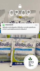 เสือโซนซีน 100 กรัม ตราหัวเสือลูกโลก มีโซไตรโอน 8% + อะทราซีน 80.8% WG สูตรเม็ดแรงกว่า 3 เท่า คุมและฆ่าวัชพืชใบแคบ ใบกว้าง ไร่อ้อย ไร่ข้าวโพด หญ้าแห้วหมู หญ้าตีนติด หญ้านกสีชมพู ผักเบี้ยหิน หญ้าปากควาย คุมฆ่าหญ้าในข้าวโพดอ้อย