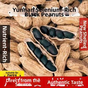 Shelled Dark and Purple Skinned Peanuts