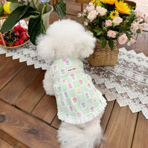 Five Little White Bear Pet Clothes Fall and Winter New Arrival Tulip Gingham Waffle Lace Skirt Dog Homewear