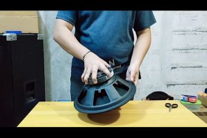 Instrumental 400 watts Tosunra Speaker 1208