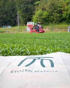KYOZEN MATCHA - JUNSUI Hojicha Powder 80g (Halal Certified) [Last Stock]