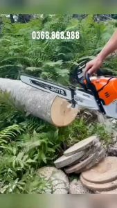 Máy cưa xích chạy xăng CX68S có đủ lam xích máy cưa xích chạy xăng lam dài 5 tấc