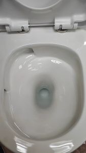 [NEW ARRIVAL} >>>Baron W898 Tornado Flushing Toilet Bowl With Geberit Flushing System