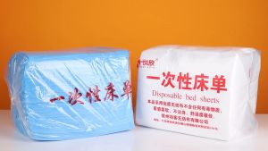 [SG Stock] Disposable Non-Woven Bedsheet / Massage Bed Clothes / Disposable Underwear (100pcs/pack)