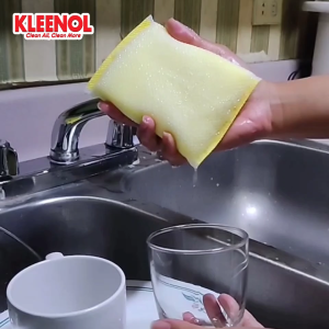 Kleenol Net Sponge - Non-scratch sponge Affordable Net Sponge High-quality Net Sponge Heavy-duty Net Sponge