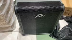 Peavey MAX300 1×15″ 300Watts Bass Amplifier Combo (Original)