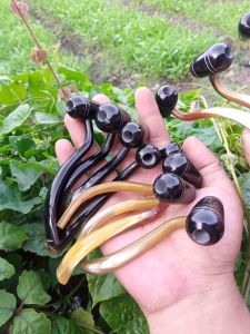 pipa cangklong tanduk kerbau model popay tutut