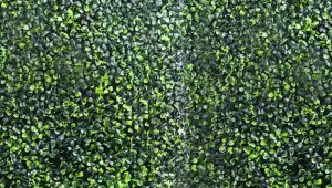 Artificial Wall Grass Plants 40CM X 60CM Milan Turf Garden Plastic Lawns Wall Decoration Plants Garden Fence Panel Wall Grass Rumput Tiruan Dinding Artificial Wall Plant Artificial Grass Wall Rumput Pagar Rumput Dinding