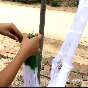 Garden Climbing Net: A Comprehensive Guide