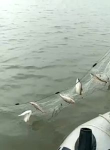 1/3 Layers White Lambat Fishing Net Fish Net Nylon 2fingers Net Hole Ready to Use Floating Net