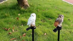 Mini Solar Light 1 LED โคมไฟตกแต่งบ้าง - เพิ่มความสวยงาม