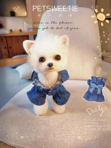 Graduation Season Denim Dog Clothes Leash Yorkie Bichon Pomeranian Cat Spring Autumn Skirt Pet Fashion Princess Style