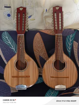 Bandurria solid wood