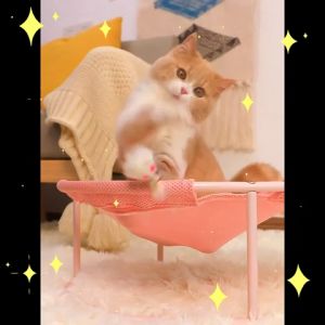 coolpet 🐶 ที่นอนแมว เปลแมว ที่นอนสัตว์เลี้ยง เบาะนอนแมว หมา แข็งแรง รับน้ำหนักได้เยอะ