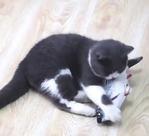 ชาร์จ USB ของเล่นแมว ของเล่นแมว ปลาสำลี ตุ๊กตาปลา ตุ๊กตาปลาสำลี พร้อม