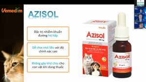 Azisol bột pha uống hỗ trợ hô hấp tiêu hóa cho chó mèo - 4.5g