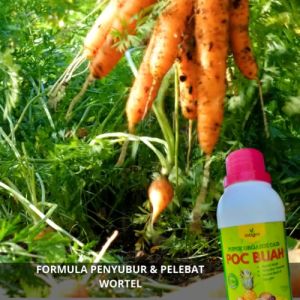 Pupuk Cair Pembesar Umbi Wortel / Obat Penyubur Untuk Wortel / Obat Pembesar Tanaman Wortel Booster