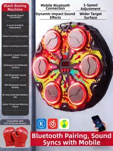 TEMiTANGMI | Smart Bluetooth Music Boxing Trainer Wall Target