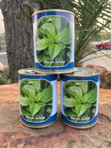 โหระพาใบใหญ่ โหระใบพลู โหระพา บรรจุ 25 กรัม (สิ้นอายุทำพันธ์ 02 / 70