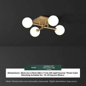 ZHENMEIJU | Modern Minimalist Luxury Popular Ceiling Light