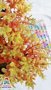 (PCS) Tuding Ngaji Kristal Pelangi