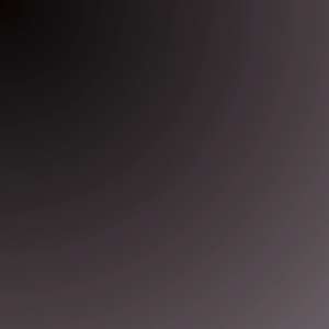 SSD EXTERNAL SATA 2.5 RAMSTA 128GB