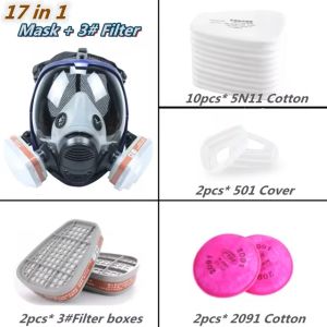 DH Quality Chemical Gas Mask Spherical 6800 Dust Mask Paint Insecticide Sprayer Full Face Mask Filter For Laboratory Welding