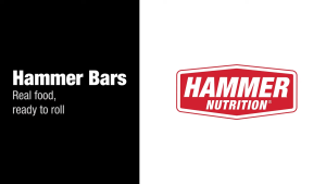 Hammer Nutrition Organic Energy Protein Bar – Gluten-Free Snack for Sustained Energy & Recovery | 1 Bar 1 Flavor