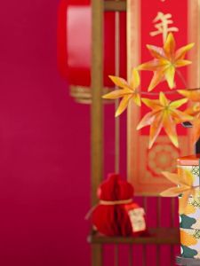 HUANGJIASHANGSHIJU | High-End Gift Cookies