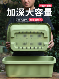 Long Rectangle Plastic Flower Pot for Balcony Vegetable And Strawberry Planting Special Box Family Garden Rooftop Flower Box