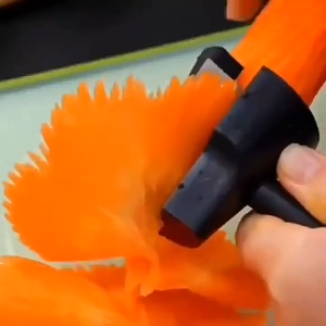 Spiral Cutter pemotong sayur