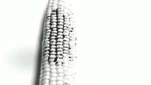 ของแท้นำเข้า Water Flosser เครื่องฉีดฟัน แรงดันน้ำ ไหมขัดฟันพลังน้ำ เครื่องพ่นน้ำทำความสะอาดฟัน AZ007 มีประกัน