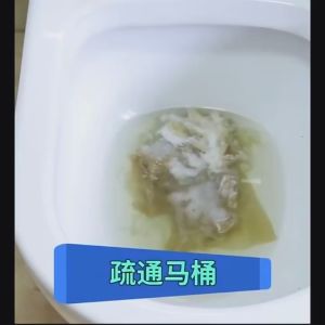 JIANYAN WILD TORDANO Pembersih Pipa Toilet Floset Dredging - WT668 - Blue