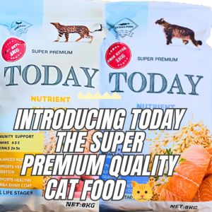 Today Super Premium Cat Food Repack 1kg