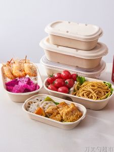 Eco-Friendly Biodegradable Oval Shaped Paper Pulp Lunch Box Set of 100 Disposable Meal Containers for Takeaway Salads