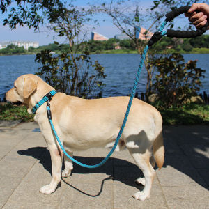 Pet Leash Dog Walking Rope Explosive Proof Large Medium Small Dogs Neck Ring Circle Big Dogs Tug of War Leash Pet Supplies