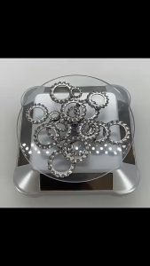 300Pcs Ring Kembang Stainless Steel / Tooth Washer External