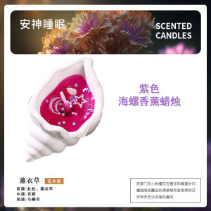 Sea Snail Aromatherapy Candle Bedroom Atmosphere Decoration Romantic High-End Fragrance Gift Creative Birthday Gift for Best Friend
