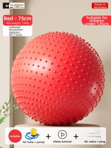 SILANGDUN | Vestibular Sensory Training Balance Ball