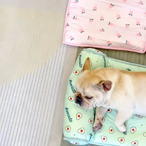 Pet Ice Mat Dog Bed Cool Silk Cotton Pad Soft Comfortable Cooling Pet Bed Alas Sejuk Haiwan