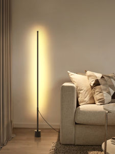 DGY | Simple Standing Floor Lamp for Living Room and Bedroom