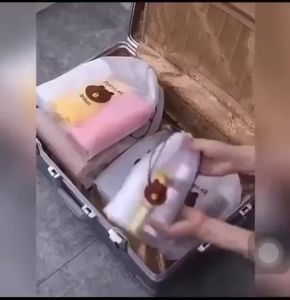 Pouch Travel Bag Organiser Kosmetik Aksesoris 20x16cm WMO BC2016