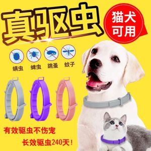 Essential Oil Infused Pet Collar for Cats And Dogs Flea Repellent Neck Ring for Small Medium Dogs And Kittens Pet Specific