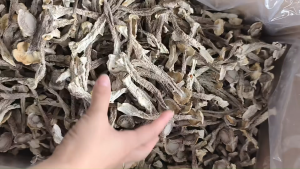 Nấm Lộc Nhung Khô Loại 1 Nguyên Cây Không Vụn - Bếp Mẹ Mít