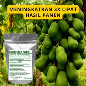 Pupuk Booster Papaya Pelebat Organik Cepat Berbuah Lebat Besar Anti Rontok Pembesar Papaya